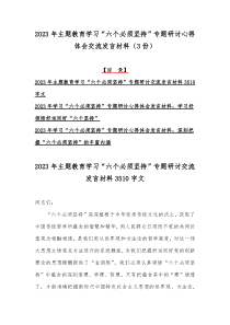 2023年主题教育“以学增智”专题学习研讨交流心得体会发言材料三份【供参考】