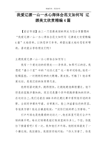 我爱辽源一山一水心得体会范文如何写 辽源美文欣赏精编4篇