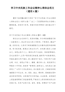 学习中央民族工作会议精神心得体会范文（通用4篇）