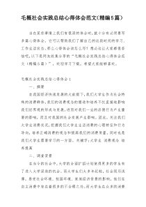 毛概社会实践总结心得体会范文（精编5篇）