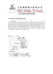 cccx2000电气