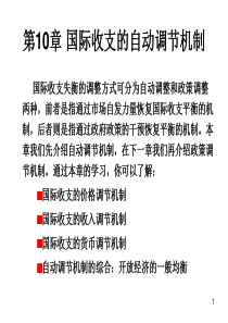 第10章国际收支的自动调节机制(1)