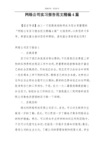 网络公司实习报告范文精编4篇