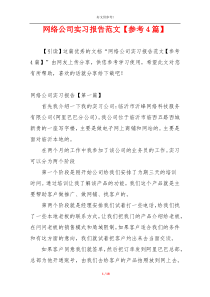 网络公司实习报告范文【参考4篇】