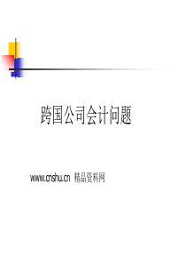 财务会计-跨国公司会计问题（PPT40页）