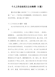 个人工作总结范文公安集聚（5篇）