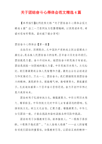 关于团结奋斗心得体会范文精选4篇