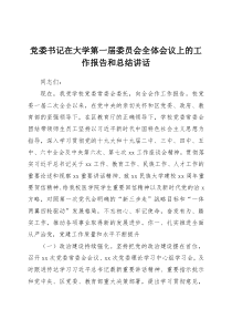 党委书记在大学第一届委员会全体会议上的工作报告和总结讲话