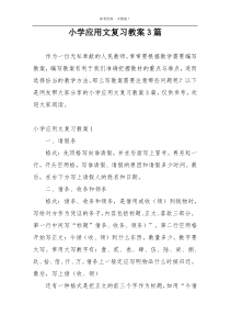 小学应用文复习教案3篇