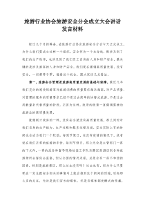 旅游行业协会旅游安全分会成立大会讲话发言材料