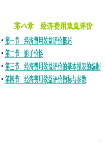 第8章国民经济效益评价