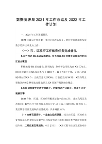 数据资源局20XX年工作总结及20XX年工作计划