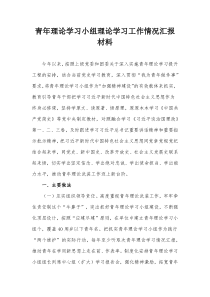 青年理论学习小组理论学习工作情况汇报材料