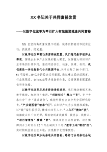 XX书记关于共同富裕发言以数字化改革为牵引扩大有效投资推进共同富裕