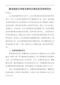 新当选公司党支部书记表态发言材料