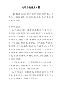 给领导的意见4篇