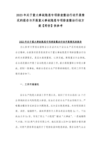 2023年关于重大事故隐患专项排查整治行动开展情况的报告与开展重大事故隐患专项排查整治行动方案【