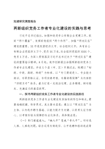 党建研究课题报告两新组织党务工作者专业化建设的实践与思考