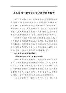 某某公司一季度企业文化建设自查报告