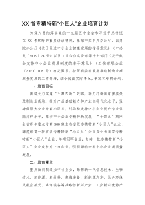 XX省专精特新小巨人企业培育计划