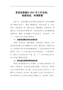 某某县委编办20XX年工作总结砥砺奋进再谱新篇