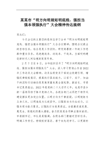 某某市明方向明规矩明底线强担当强本领强执行大会精神传达提纲