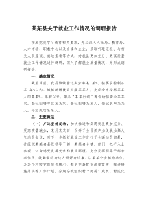 某某县关于就业工作情况的调研报告