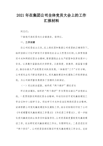 20XX年在集团公司全体党员大会上的工作汇报材料