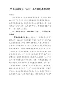 XX书记在全县三农工作会议上的讲话