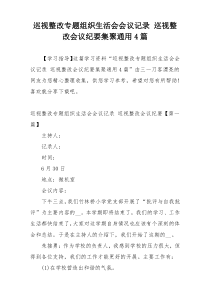 巡视整改专题组织生活会会议记录 巡视整改会议纪要集聚通用4篇