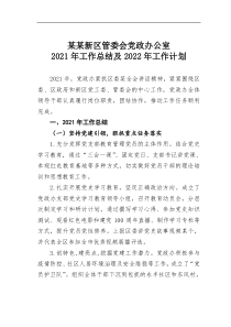 某某新区管委会党政办公室20XX年工作总结及20XX年工作计划