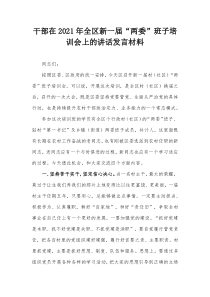 干部在20XX年全区新一届两委班子培训会上的讲话发言材料