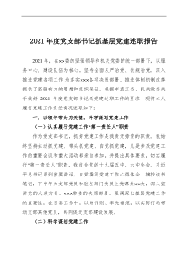 20XX年度党支部书记抓基层党建述职报告