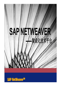 SAP NetWeaver技术简介