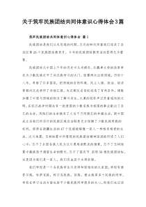 关于筑牢民族团结共同体意识心得体会3篇