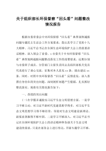 关于组织部长环保督察回头看问题整改情况报告