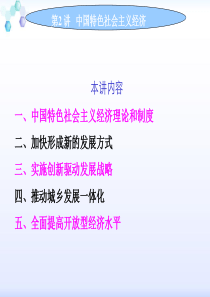 第二章中国特色社会主义经济