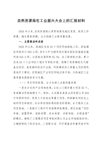 自然资源局在工业振兴大会上的汇报材料