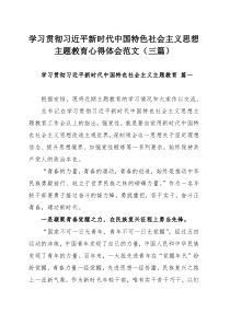 学习贯彻习近平新时代中国特色社会主义思想主题教育心得体会范文（三篇）