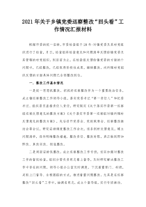 20XX年关于乡镇党委巡察整改回头看工作情况汇报材料