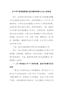 （领导讲话稿）学习贯彻重要指示批示精神在燃气大会上的讲话