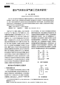 含水气井排水采气新工艺技术研究