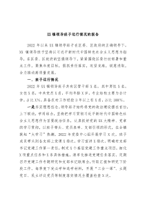 XX镇领导班子运行情况的报告