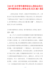 [300字]乡村青年教师培训心得体会范文_青年教师培训心得体会范文【汇编5篇】