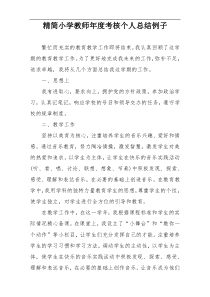 精简小学教师年度考核个人总结例子