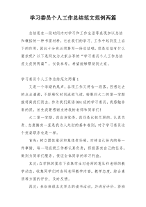 学习委员个人工作总结范文范例两篇