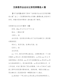 支部委员会会议记录范例精选4篇