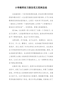 小学教师实习报告范文范例总结