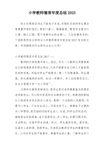 小学教师德育年度总结2023