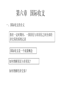 第六章国际收支